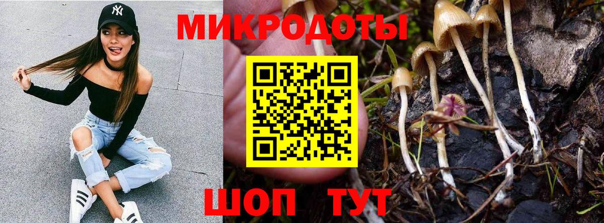 Ржев  Псилоцибиновые грибы мухоморы  Вход с VPN 