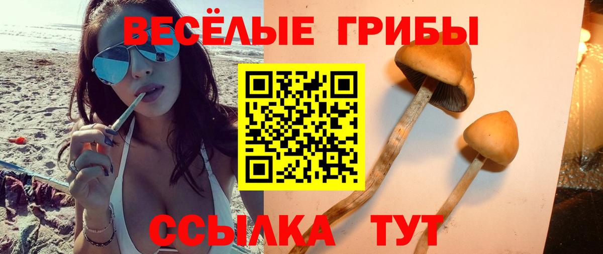 Псилоцибиновые грибы мицелий Ржев