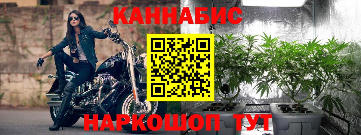 Ржев  Бошки марихуана планчик  Конопля гибрид  Вход с VPN  Марихуана гибрид  Бошки марихуана THC 21% 